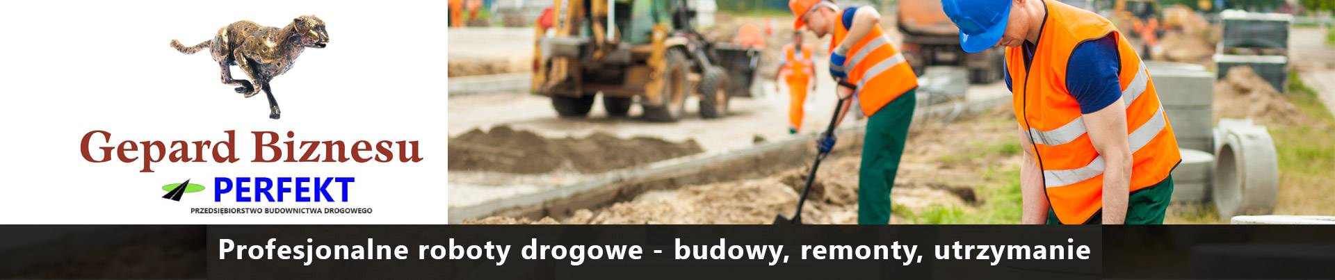 Roboty Drogowe